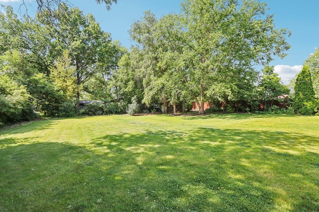 10505 Fitzsimmons Dr, Palos Park, IL 60464 - photo 27