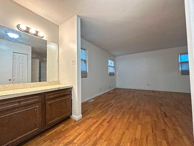 21729 Gailine Ave, Sauk Village, IL 60411 - bathroom featuring wood finished floors and vanity