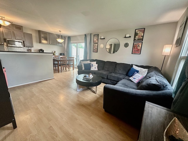 1110 Hampton Hbr Unit 1110, Schaumburg, IL 60193 - living room featuring light wood-style floors