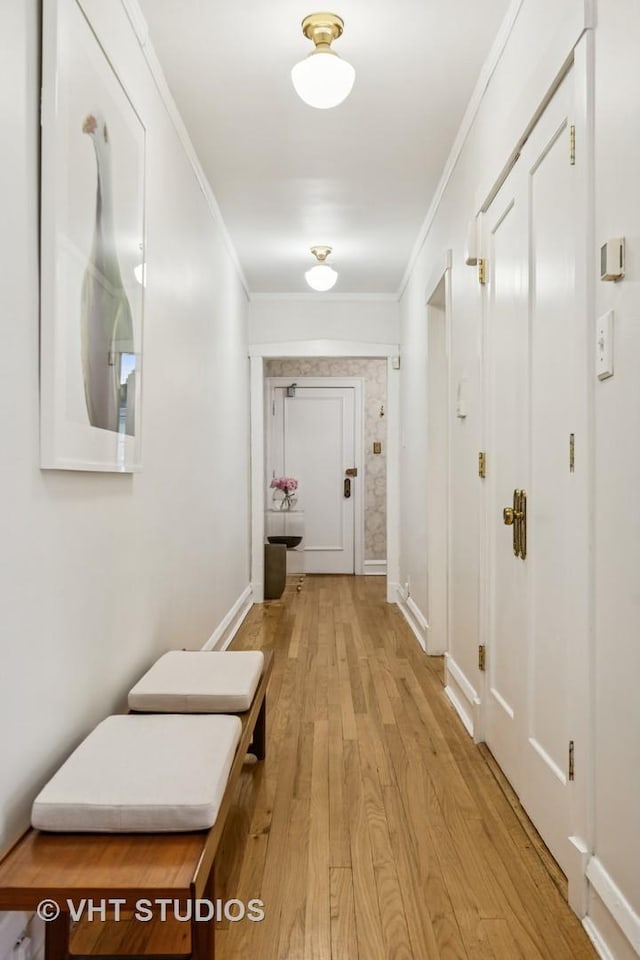 542 Michigan Ave Unit 1, Evanston, IL 60202 - hallway featuring ornamental molding and light wood-type flooring