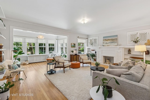 542 Michigan Ave Unit 1, Evanston, IL 60202 - living area featuring light wood-type flooring, radiator, healthy amount of natural light, a fireplace, and ornamental molding