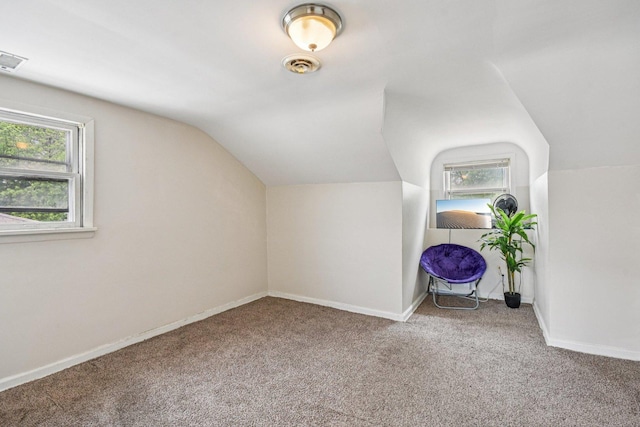 17852 Walter St, Lansing, IL 60438 - additional living space featuring vaulted ceiling and carpet flooring