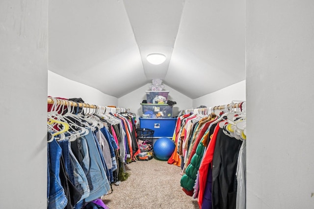 17852 Walter St, Lansing, IL 60438 - spacious closet with carpet and vaulted ceiling