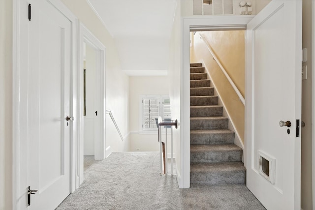 720 Ingleside Pl, Evanston, IL 60201 - staircase featuring carpet floors