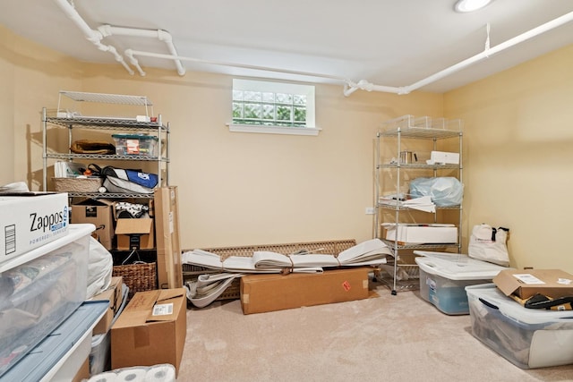 720 Ingleside Pl, Evanston, IL 60201 - view of storage room