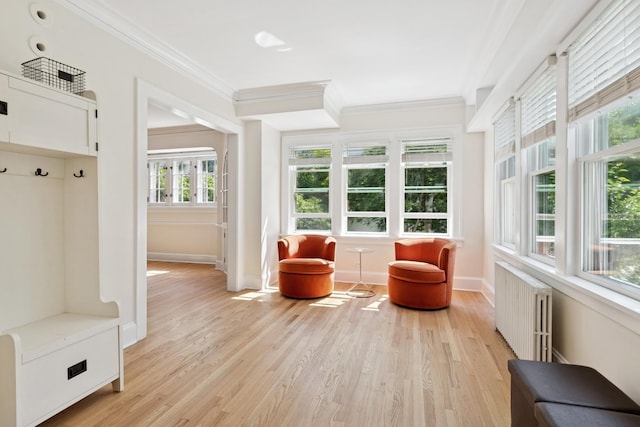 720 Ingleside Pl, Evanston, IL 60201 - sunroom / solarium with radiator and plenty of natural light