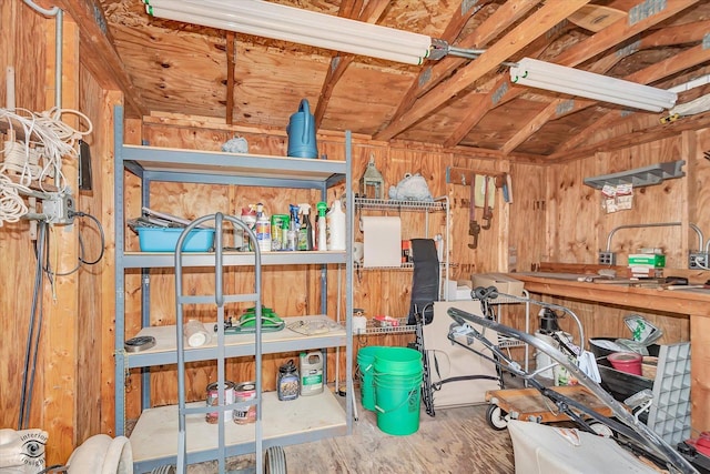 3242 W 108th Pl, Chicago, IL 60655 - view of storage