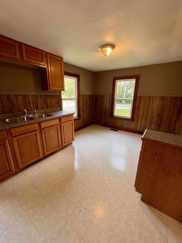 1202 E Water St, Pontiac, IL 61764 - kitchen with wooden walls, healthy amount of natural light, brown cabinetry, a wainscoted wall, and a sink