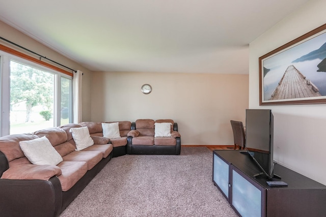 350 Kathy Dr, Bourbonnais, IL 60914 - living room with carpet