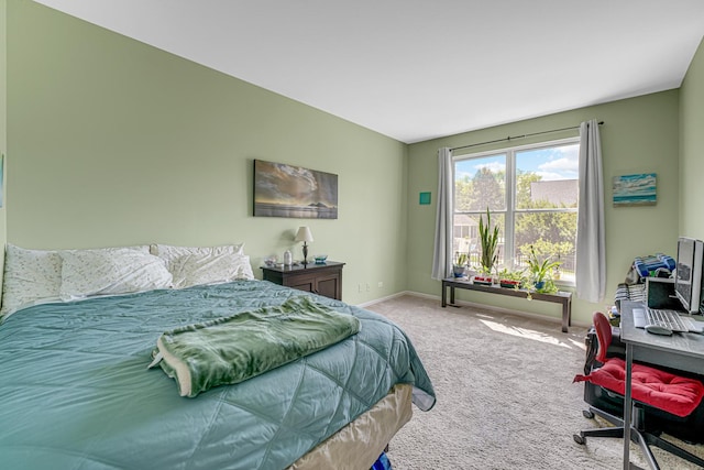 2316 Loop Rd, Algonquin, IL 60102 - bedroom with carpet and an office area
