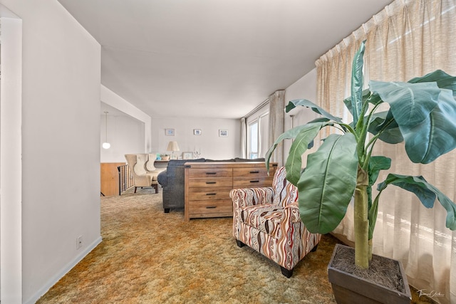 7325 173rd St, Tinley Park, IL 60477 - living area with carpet