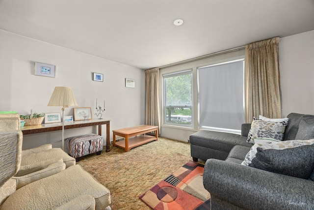 7325 173rd St, Tinley Park, IL 60477 - view of carpeted living area