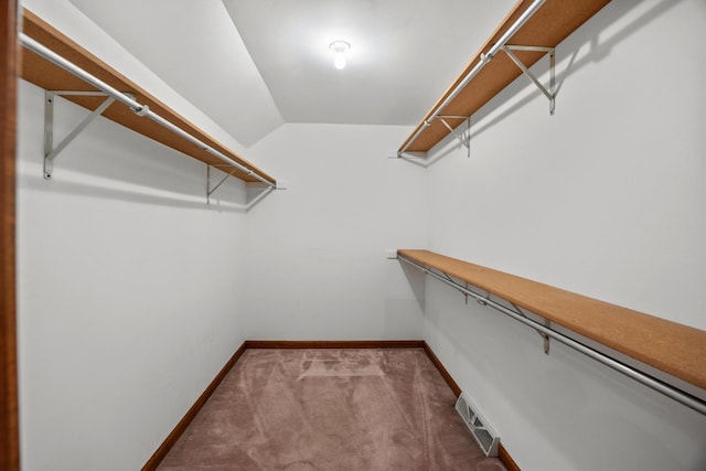 1364 Yorkshire Ln, Carol Stream, IL 60188 - walk in closet with carpet flooring and vaulted ceiling