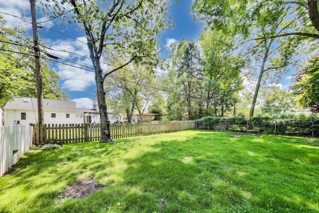 539 S Evergreen Ave, Arlington Heights, IL 60005 - view of fenced backyard