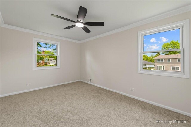 506 S Brighton Ln, Palatine, IL 60067 - photo 23