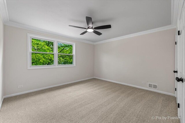 506 S Brighton Ln, Palatine, IL 60067 - photo 28