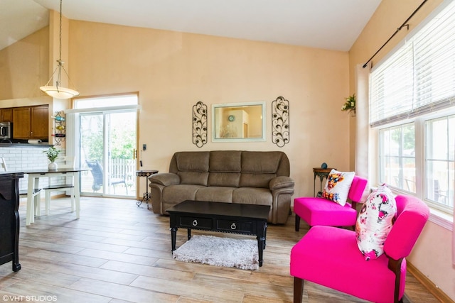 4321 Dillon St, Plano, IL 60545 - living area with light wood-type flooring and high vaulted ceiling