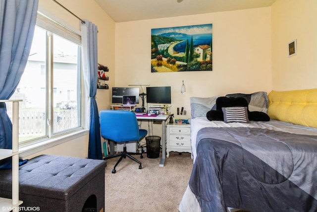 4321 Dillon St, Plano, IL 60545 - bedroom with carpet floors, multiple windows, and an office area