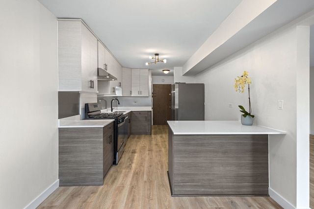 2000 Bayside Dr Unit 204, Palatine, IL 60074 - kitchen with range with gas stovetop, freestanding refrigerator, light countertops, light wood-style flooring, and under cabinet range hood