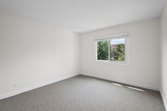 2000 Bayside Dr Unit 204, Palatine, IL 60074 - spare room featuring carpet flooring