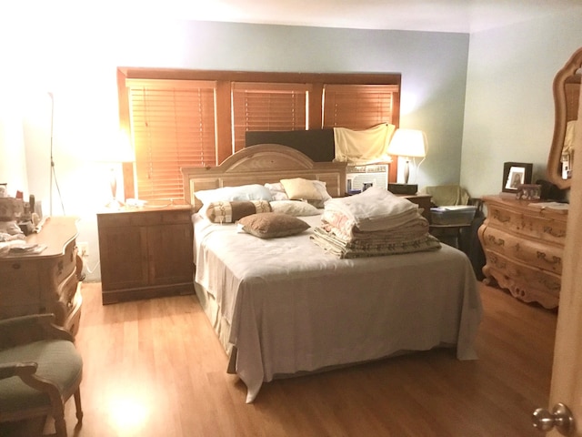 14336 S Harrison Ave, Posen, IL 60469 - bedroom featuring light wood-type flooring