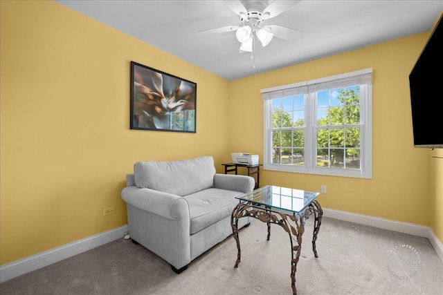 1519 Wedgefield Cir, Naperville, IL 60563 - sitting room with carpet floors and a ceiling fan