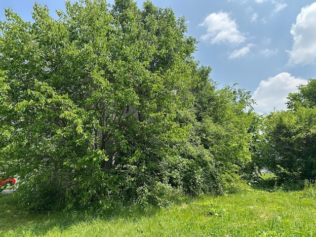15201 Turlington Ave, Harvey, IL 60426 - view of local wilderness