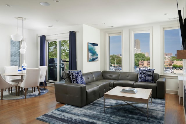 3828 N Racine Ave Unit 3, Chicago, IL 60613 - living room featuring wood finished floors and recessed lighting