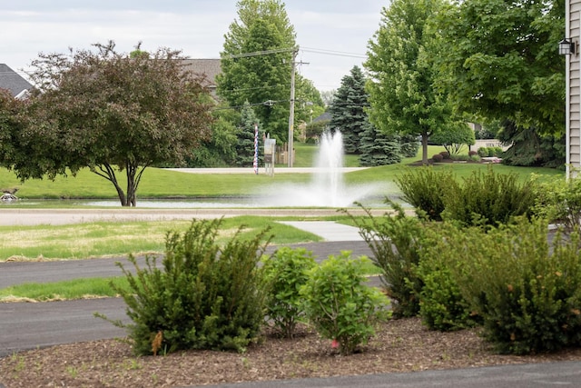 LOT15 Amherst Dr Unit B, Sycamore, IL 60178 - view of community featuring a yard