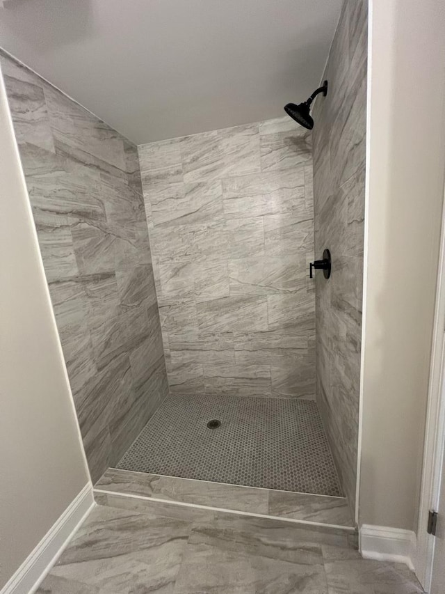 6047 Elm Ln, Matteson, IL 60443 - full bath featuring baseboards, a shower stall, and marble finish floors