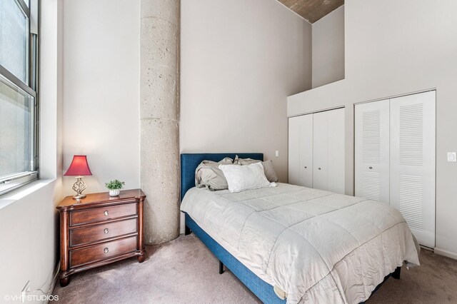 758 N Larrabee St Unit 427, Chicago, IL 60654 - bedroom with carpet floors, multiple closets, and a towering ceiling