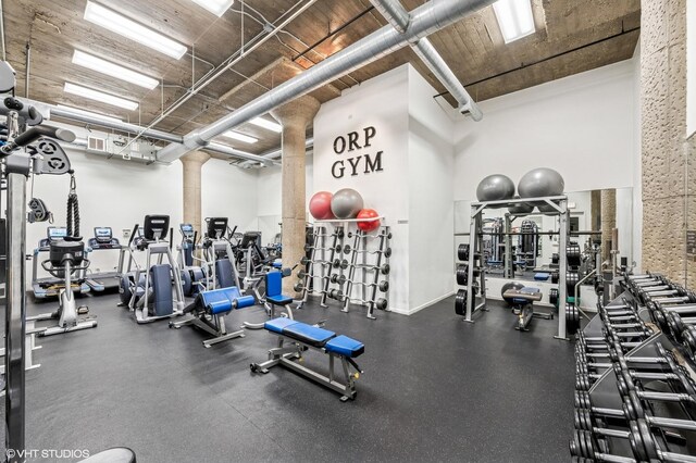 758 N Larrabee St Unit 427, Chicago, IL 60654 - workout area with ornate columns