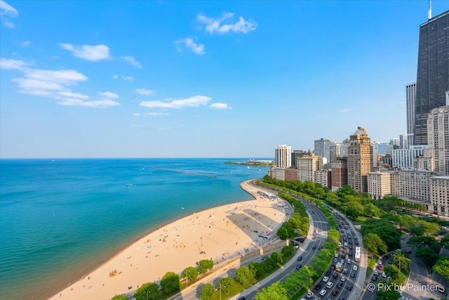 1150 N Lake Shore Dr Unit 19A, Chicago, IL 60611 - water view featuring nearby beach