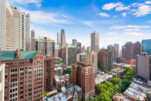 1150 N Lake Shore Dr Unit 19A, Chicago, IL 60611 - skyline view