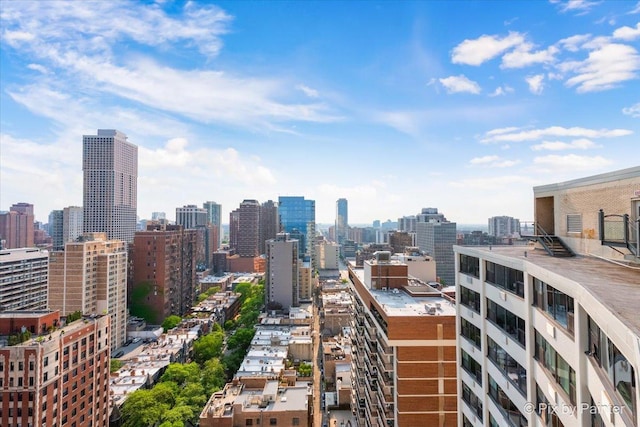 1150 N Lake Shore Dr Unit 19A, Chicago, IL 60611 - view of city skyline