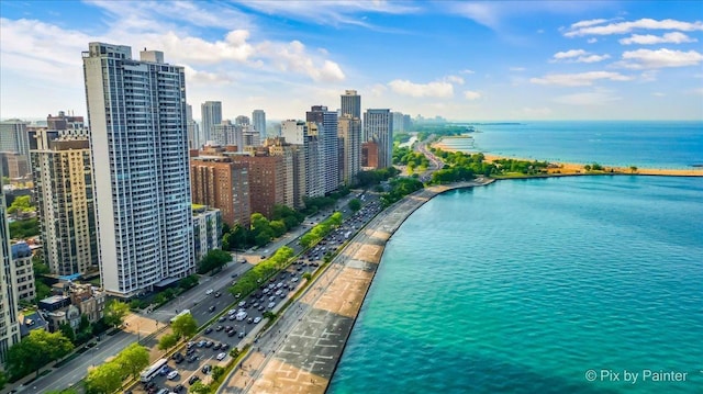 1150 N Lake Shore Dr Unit 19A, Chicago, IL 60611 - bird's eye view of a large body of water and city skyline