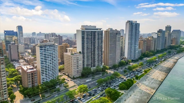 1150 N Lake Shore Dr Unit 19A, Chicago, IL 60611 - skyline view