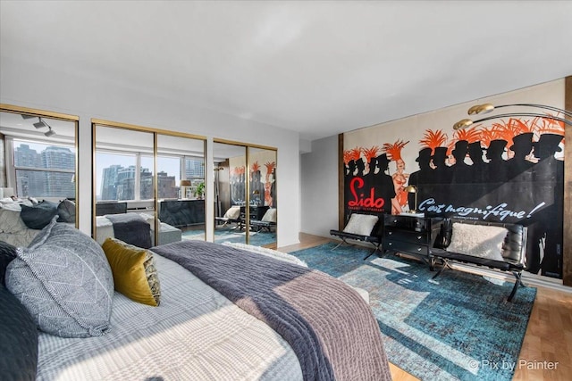 1150 N Lake Shore Dr Unit 19A, Chicago, IL 60611 - bedroom featuring wood finished floors, two closets, and a view of city