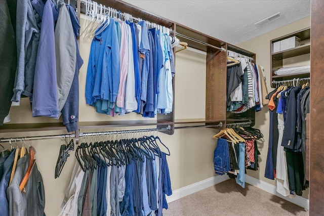 2107 Max Run Dr E, Champaign, IL 61822 - walk in closet featuring carpet flooring