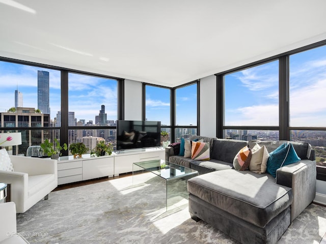1030 N State St Unit 44L, Chicago, IL 60610 - living area featuring floor to ceiling windows