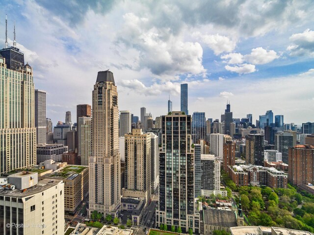 1030 N State St Unit 44L, Chicago, IL 60610 - skyline view