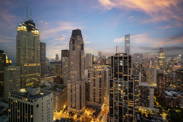 1030 N State St Unit 44L, Chicago, IL 60610 - skyline view