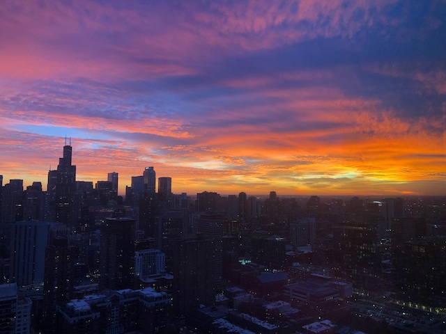 1030 N State St Unit 44L, Chicago, IL 60610 - city view