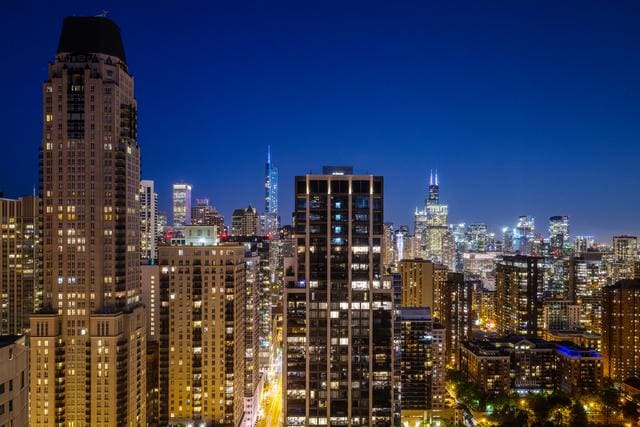 1030 N State St Unit 44L, Chicago, IL 60610 - view of city featuring a view of city lights