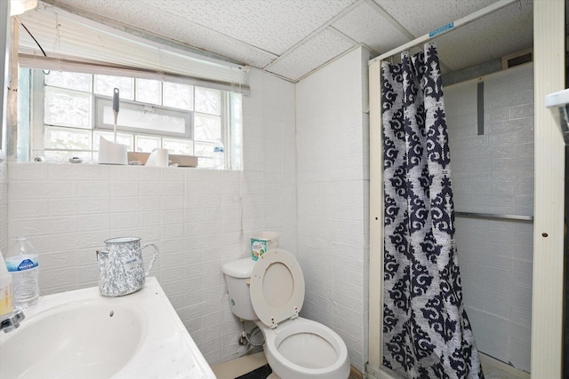11219 S Wallace St, Chicago, IL 60628 - full bathroom with a stall shower, toilet, a paneled ceiling, and vanity