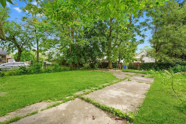 11219 S Wallace St, Chicago, IL 60628 - view of yard