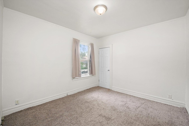 11219 S Wallace St, Chicago, IL 60628 - carpeted spare room featuring ornamental molding and baseboards