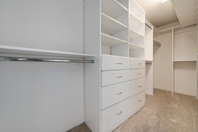 9715 Woods Dr Unit 700, Skokie, IL 60077 - walk in closet featuring light colored carpet