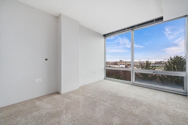 9715 Woods Dr Unit 700, Skokie, IL 60077 - unfurnished room featuring carpet floors and expansive windows