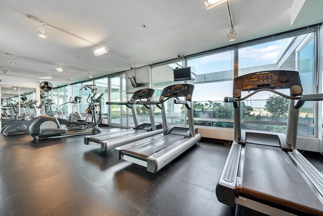 9715 Woods Dr Unit 700, Skokie, IL 60077 - view of workout area